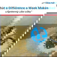 Tsurumi Launches Pump Durability Test: “What a Difference a Week Makes”