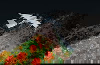 Wingcopter extends range of applications to long-range LiDAR surveying