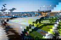 Thermal imaging for hydrogen flame detection and monitoring