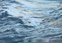 New material moves seawater batteries step closer to primetime