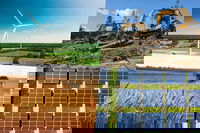 Difficult and costly energy transition unless the EU invests in biomass