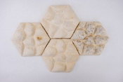 Ntu Singapore Scientists Create ‘Fungi Tiles’ With Elephant Skin Texture To Cool Buildings
