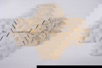 Ntu Singapore Scientists Create ‘Fungi Tiles’ With Elephant Skin Texture To Cool Buildings