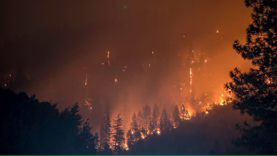 RoGO Communications and LBiSat Integrate DropBlock GPS Firefighter Tracking Into Wildfire Incident Command Posts