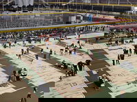 University of Florida Wins 2025 Student Steel Bridge Competition, Sets Record