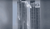 Video: Dr. Kit Miyamoto Shares an Update From Bangkok