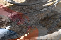 HDPE Only Pipe Material for Water Service Lines Using AWWA Standard