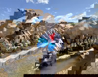 Climate Financing Boosting Water Access for Millions in Developing Nations