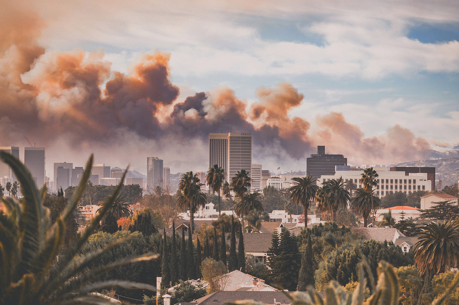 New Bluebeam Research Shows Strong Rebuilding Momentum After LA Wildfires 