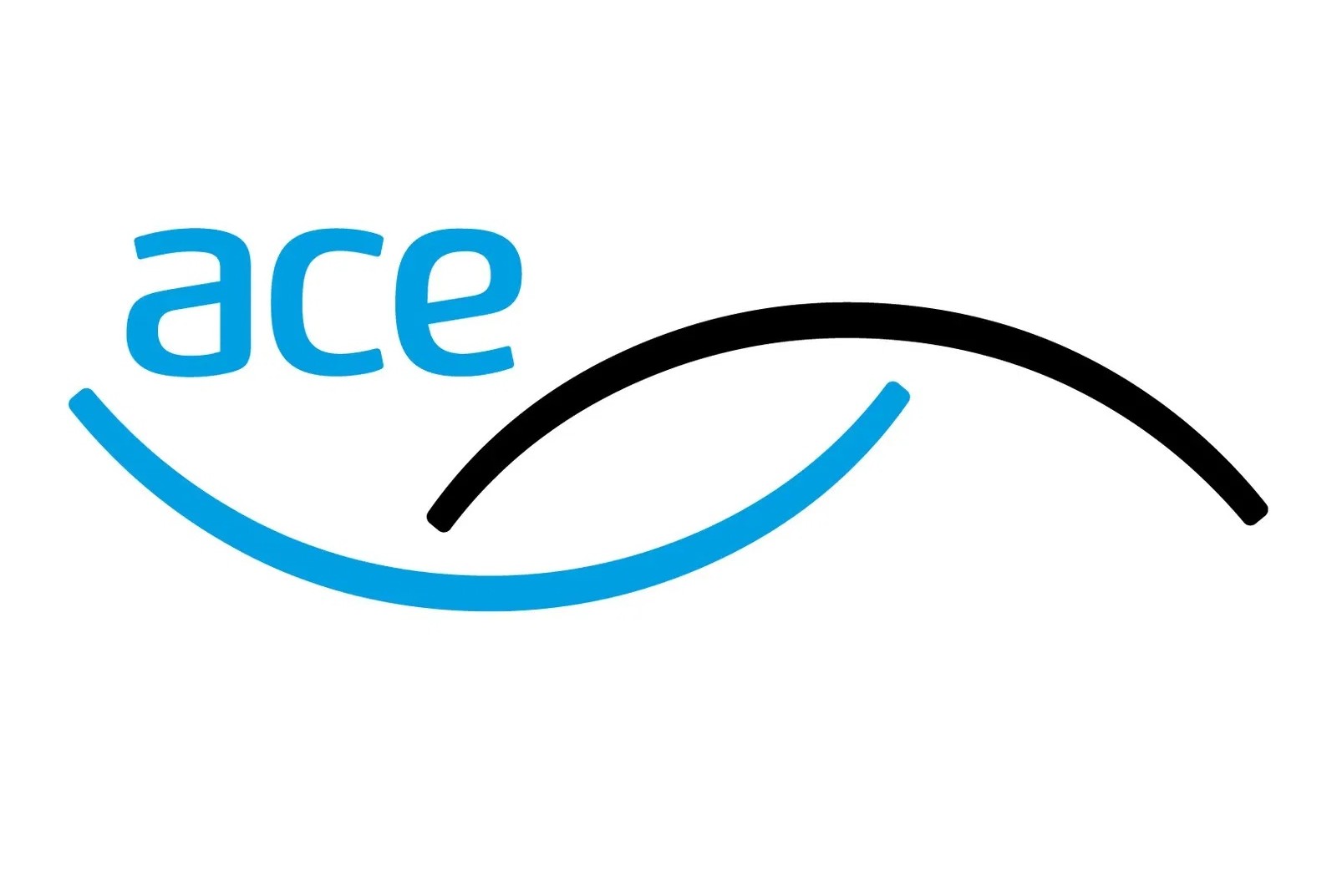 ACE announces new board leadership appointments