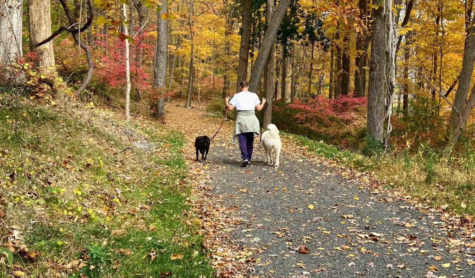 Western Connecticut Council of Governments selects Stantec to lead routing and design services for connected regional trail network