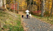 Western Connecticut Council of Governments selects Stantec to lead routing and design services for connected regional trail network